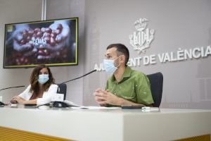 L´Ajuntament de València aprova el nou Projecte de Reglament orgànic de Govern i Administració