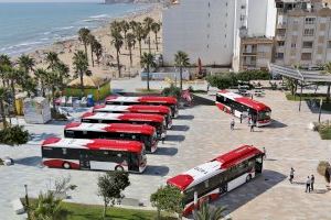 El Servicio de Transporte Urbano de Torrevieja incorpora siete nuevos autobuses con una inversión de 1.525.000 euros
