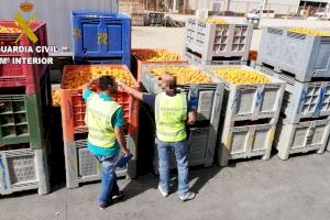 Un detenido y 45 investigados por robar 41.000 kg de naranjas en las comarcas de la Ribera Alta y Baixa
