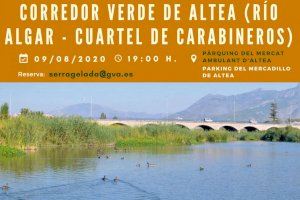 El Parc Natural de la Serra Gelada i les regidories de Turisme i Medi Ambient organitzen una ruta pel Corredor Verd d'Altea