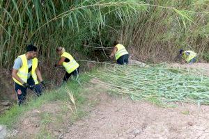El Ayuntamiento de Massalavés intensifica las labores de desbroce y limpieza de los caminos del término rural