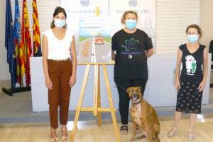 Bienestar Animal presenta la campaña estival de concienciación y sensibilización contra el abandono de animales