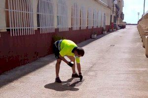 Continúan los tratamientos rutinarios de control de plagas en Peñíscola