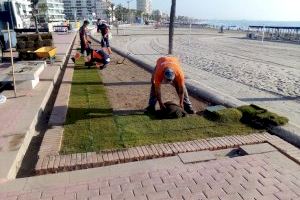 Avanzan los trabajos de mejora de la jardinería en el Paseo Marítimo de Peñíscola tras los efectos de la borrasca Gloria