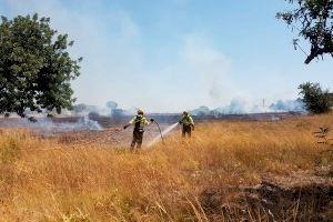 Se produce un incendio en el entorno cercano al Hospital de Llíria