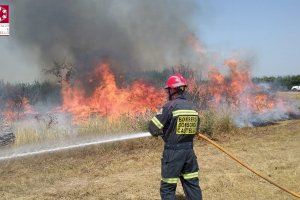 Los bomberos extinguen un incendio en Vila-real y piden extremar las precauciones por el calor