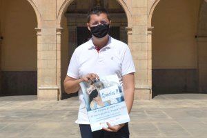 Castelló lanza la campaña ‘Gràcies!!’ para dinamizar el comercio local en verano en todos sus distritos