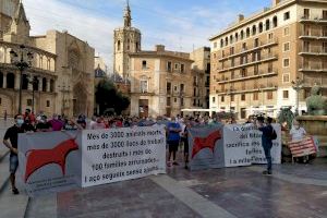 Los ganaderos de ‘Bous al Carrer’ piden auxilio a la Generalitat