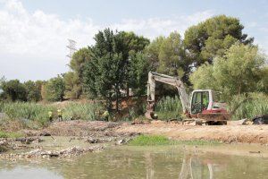Paterna elimina las especies invasoras en el cauce del rio Turia y La Vallesa