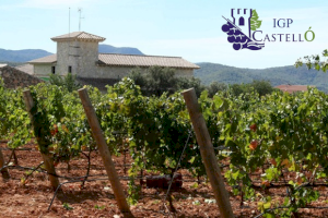 Compromís pide a Agricultura implementar fondos para ayudar a la IGP Vins de Castelló y al 60% de las D.O. del vino valenciano excluidas de las ayudas por la crisis del COVID
