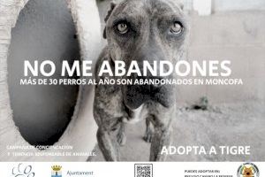 La Asociación Gossos Sense Sostre de Moncofa presenta su nueva campaña contra el abandono