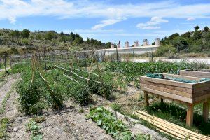 46 vecinos optan a los 16 huertos ecológicos de Petrer