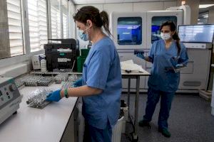 Los técnicos superiores sanitarios se proponen como rastreadores: “Está en riesgo el control de la pandemia”