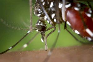 AVA-ASAJA teme la propagación del virus del Nilo Occidental a los espacios húmedos valencianos