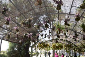 Cullera convierte el Parque del Oasis en un rincón floral