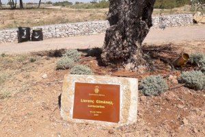 L’Ajuntament d’Alzira col·loca una placa en homenatge al contacontes Llorenç Giménez