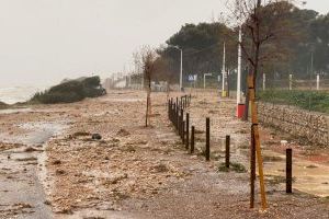 El Consell de Ministres aprova ajudes per a un centenar de municipis valencians pel temporal Gloria