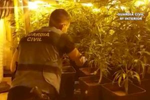 La Guardia Civil desmantela una plantación de marihuana en una vivienda de Xàbia