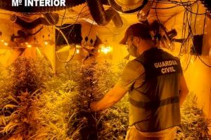 La Guardia Civil ha desmantelado una organización criminal que alquilaba chalets de lujo para cultivar marihuana en Valencia