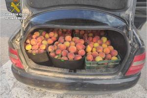 Hurtos en el medio rural: recuperan medio tonelada de fruta robada en el último mes