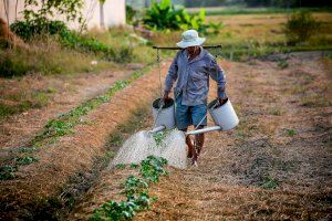 AVA-ASAJA en el Día Mundial de la Agricultura: “Las políticas agrarias expulsan a los agricultores y ganaderos de sus campos”