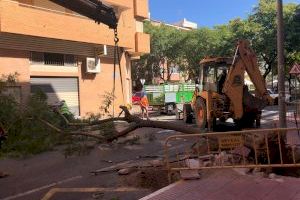 Comienzan las obras de reurbanización y acondicionamiento de la calle Pelayo