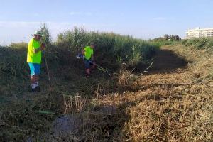 Moncofa limpia acequias y caminos rurales para prevenir los efectos de las lluvias torrenciales