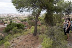 La Diputación de Castellón limpia por primera vez en 40 años las zonas forestales de Penyeta Roja para mitigar el riesgo de incendios