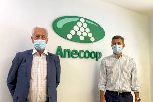 Anecoop se une al Maratón Valencia como primer patrocinador especial por su 40º aniversario