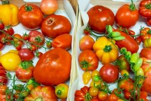 Objetivo: conseguir tomates de más calidad, con más sabor y más resistentes contra virus