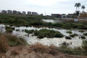 Benicàssim continúa con los tratamientos contra mosquitos en agua estancada