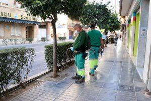 El Ayuntamiento de Torrent aplica el novedoso tratamiento de endoterapia en los naranjos de Obispo Benlloch y Gómez Ferrer