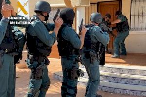 Golpe al tráfico de drogas en la Vega Baja: 12 detenidos por cultivar marihuana en chalés ocupados