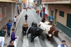El covid apuntilla els bous al carrer