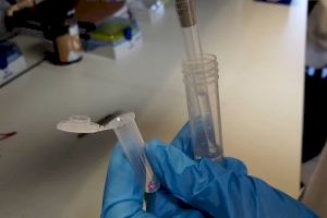 La alternativa valenciana a los PCR: más rápida, barata y sencilla