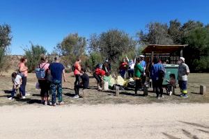 Una vintena de voluntaris de Sueca recullen 40 quilos de residus en el riu Xúquer