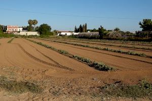El Museu de la Rajoleria propone un ‘Passeig per l’Horta’ para conocer los rincones más significativos de las tierras de cultivo que rodean Paiporta