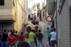 El Patronat del Bou de la Comunitat Valenciana vetlarà pels interessos dels bous al carrer