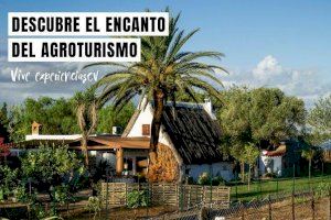Turisme lanza una campaña de marketing digital para promover el turismo seguro en la Comunitat Valenciana durante el puente de octubre