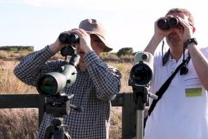 El Consorci Gestor del Paisatge Protegit del Riu Millars convida a l'observació d'aus en aquest espai privilegiat