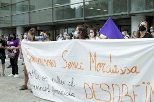 La jueza anula las multas al movimiento feminista de Valencia por el 8M