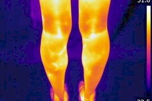 Científicos valencianos investigan cómo detectar anomalías según la respuesta térmica de las personas