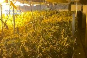 La Guardia Civil desarticula en Mutxamel una organización criminal especializada en el cultivo indoor de marihuana