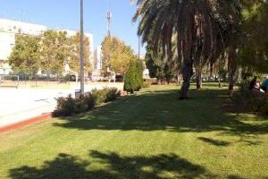 El Ayuntamiento de Valencia realiza más de un millar y medio de intervenciones de poda en el arbolado viario en septiembre
