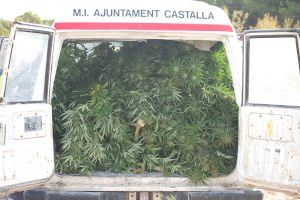 La Policía Local de Castalla incauta una plantación de marihuana en colaboración con la Guardia Civil