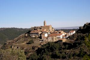 L’Ajuntament de Morella adjudica les pastures del mont d’Herbeset