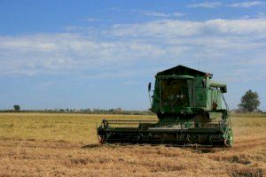 AVA-ASAJA logra que la Conselleria prorrogue un año más la ayuda agroambiental del arroz