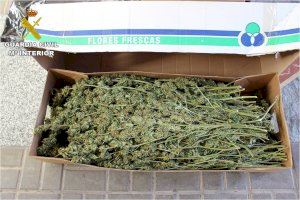 Interceptan el transporte de cerca de 100 kilos de marihuana entre Alicante y Lleida