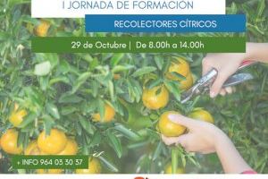Burriana acollirà la primera jornada formativa de recol·lecció de cítrics de la província