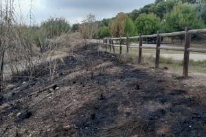 Los últimos incendios ocurridos en el Paisaje Protegido de la Desembocadura del río Mijares han quemado varios pinos, cañaverales y una parte del histórico molino del Terraet